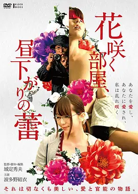 布拉芙夫人 电影海报